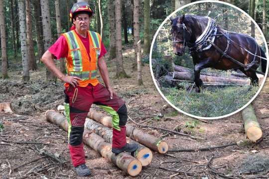 Bild «Das ist eine hohe Kunst»